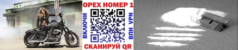KRAKEN онион  Дальнегорск  Cocaine FishScale 