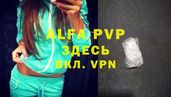 стаф Баксан