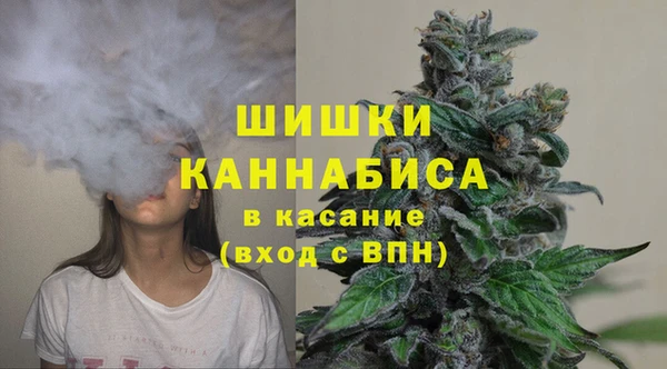 стаф Баксан