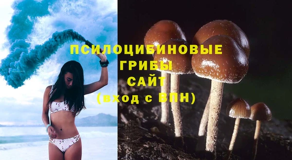 стаф Баксан