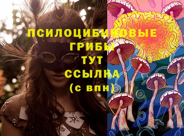 стаф Баксан