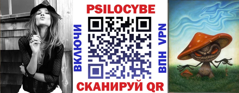 закладка Дальнегорск Галлюциногенные грибы Psilocybe